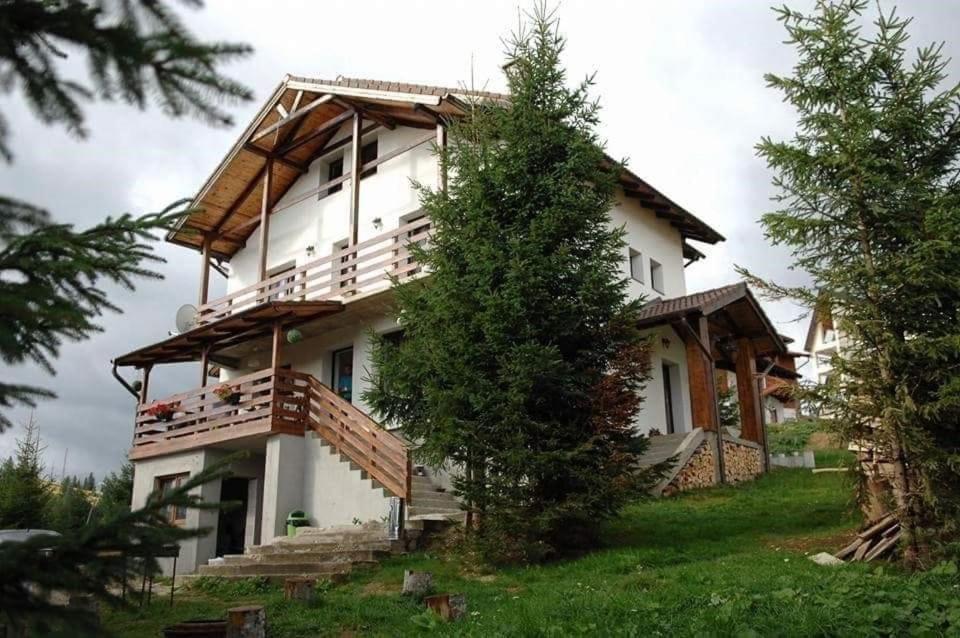 Casa De Vacanta Two Brothers Concept Păltiniş 외부 사진