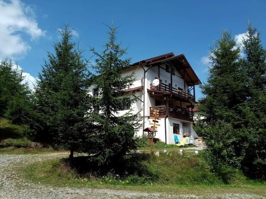 Casa De Vacanta Two Brothers Concept Păltiniş 외부 사진
