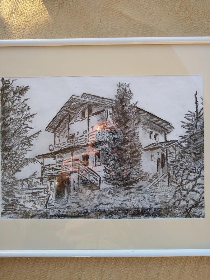 Casa De Vacanta Two Brothers Concept Păltiniş 외부 사진