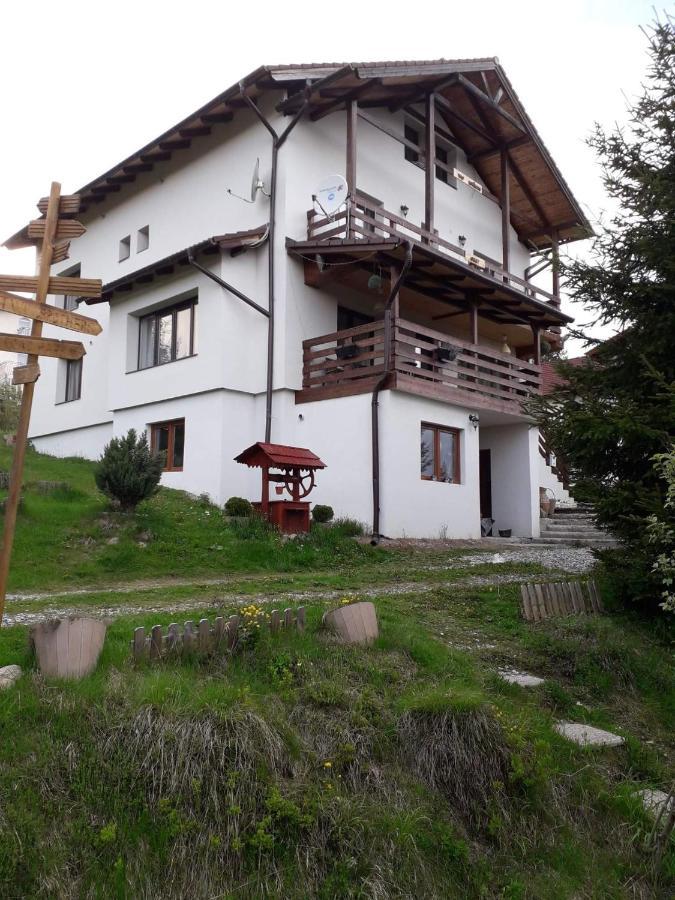 Casa De Vacanta Two Brothers Concept Păltiniş 외부 사진