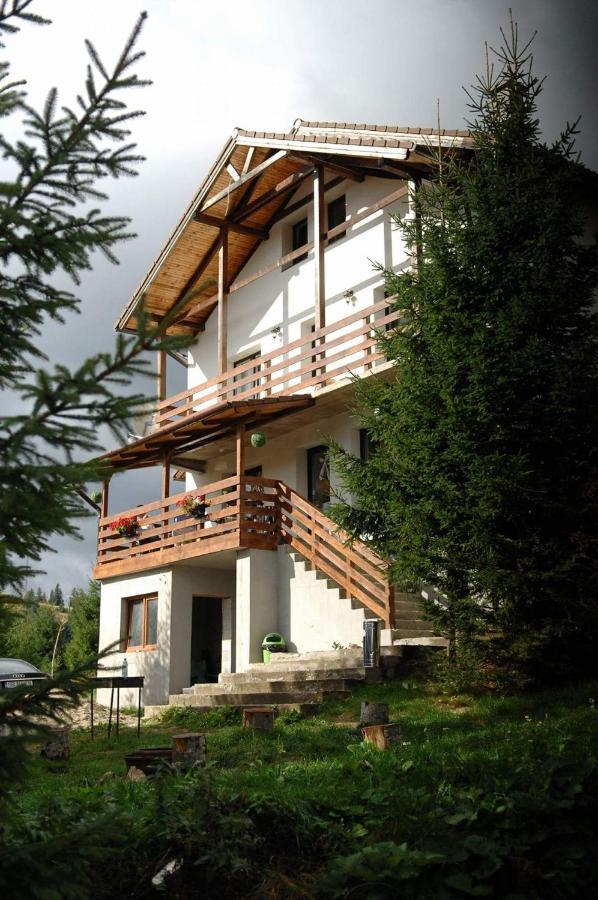 Casa De Vacanta Two Brothers Concept Păltiniş 외부 사진